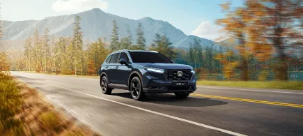 Imagem_destaquedesign1